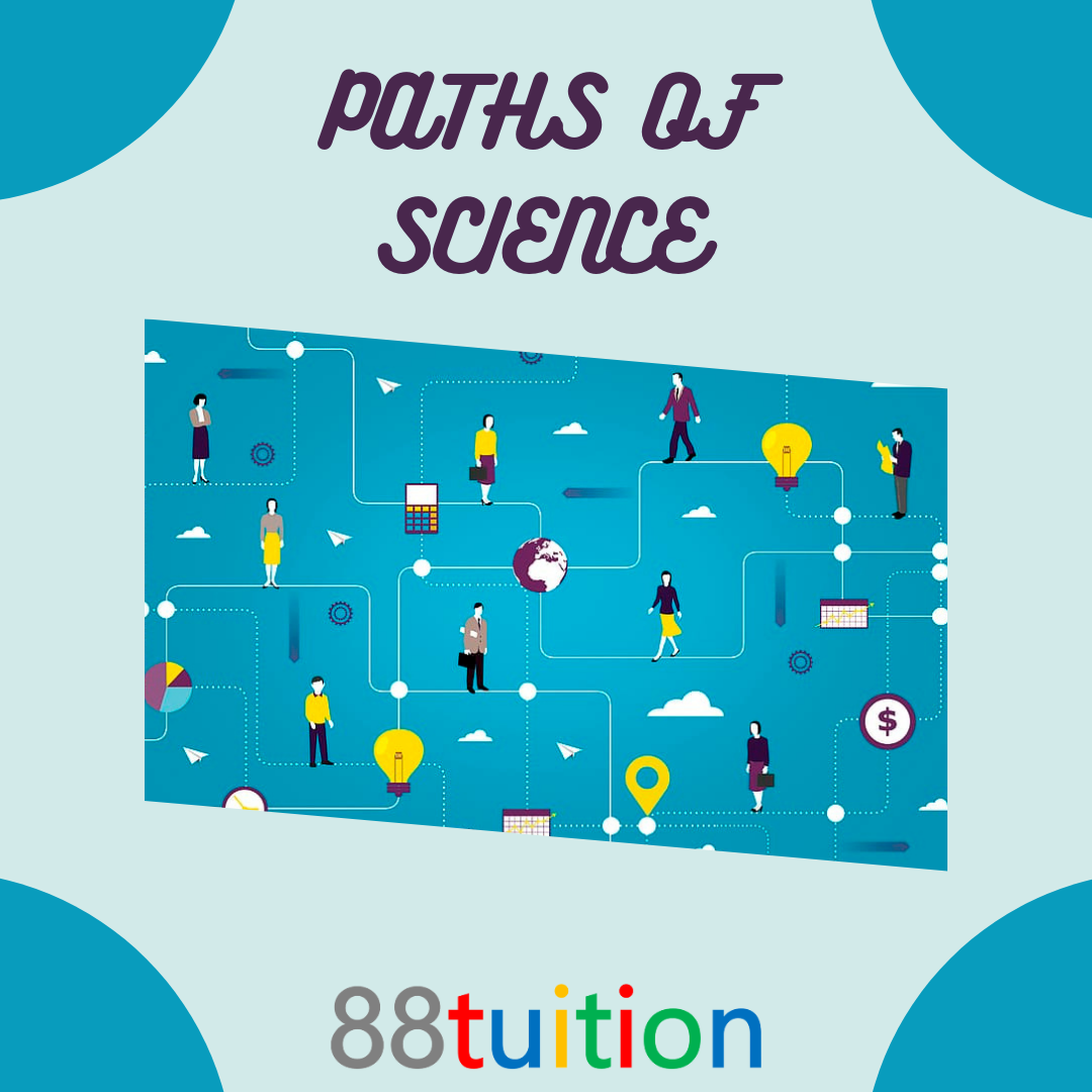 Many paths of science and its insights 